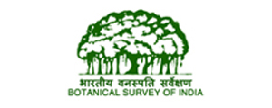 Botanical Survey of India (BSI) Botanical Survey of India (BSI)